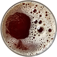 http://209.133.193.234/~exqaxbzd/1010/wp-content/uploads/2017/05/beer_transparent_02-1.png