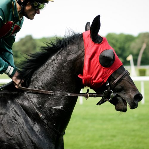 Matéria 20 Matéria 20