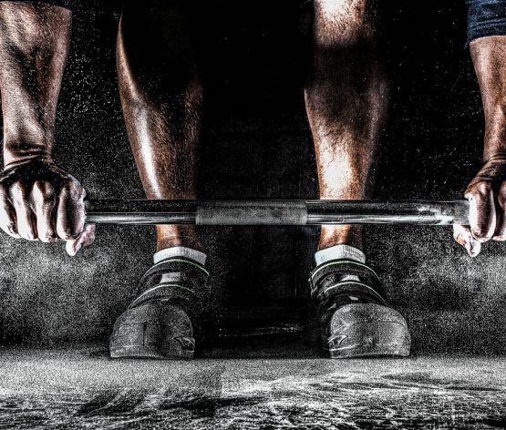 Matéria 24 Matéria 24