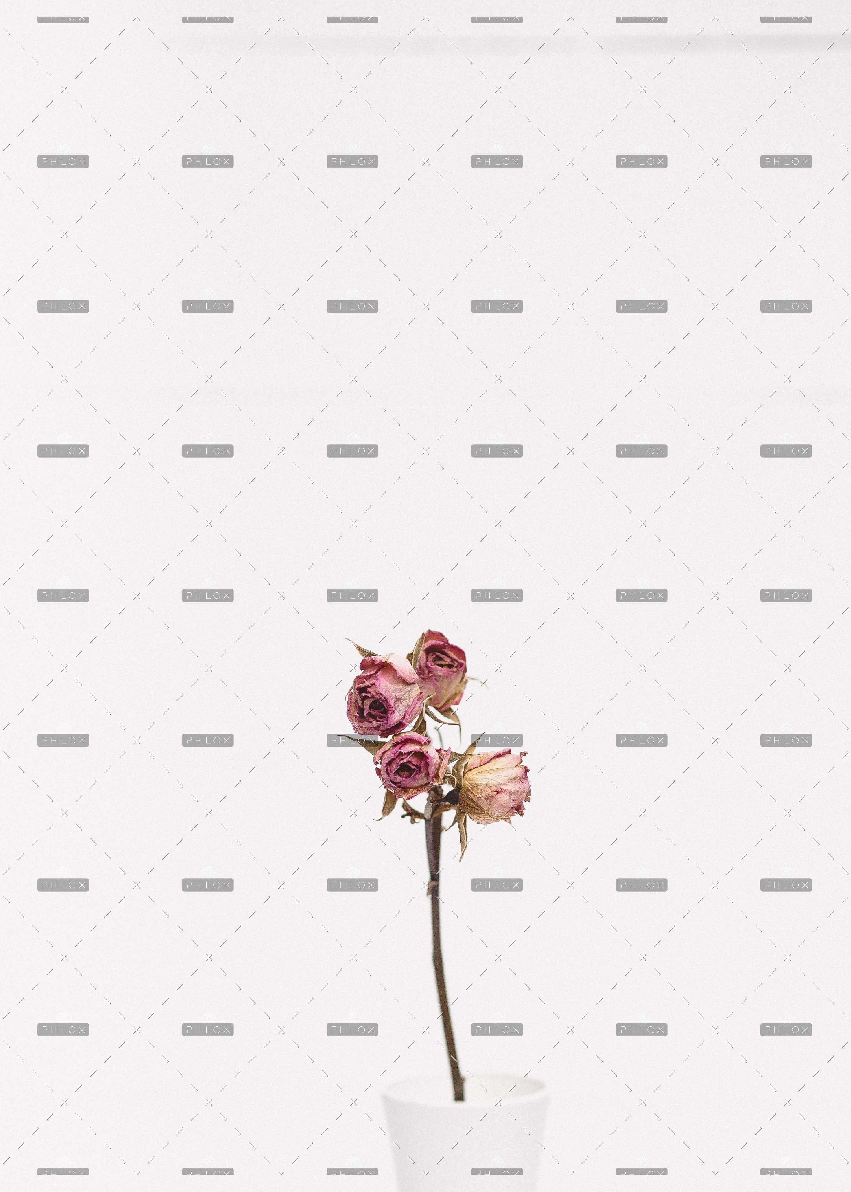demo-attachment-174-op_tanalee-youngblood-fsdWYNTymjI-unsplash