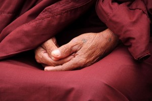 Faucibus eu laoreet nunc