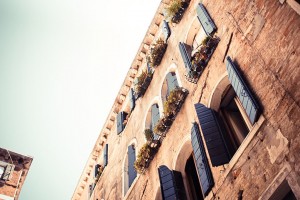 Kril penectus aliquet pretium