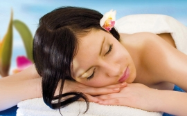 Aliquam lobortis cursus