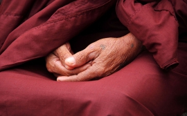 Faucibus eu laoreet nunc