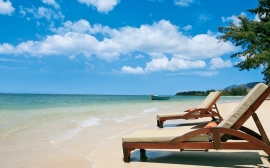 Detus laoreet dignissim