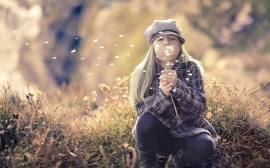 Aenean vehicula vehicula