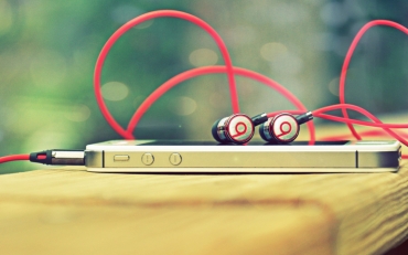 Mauris scelerisque metus